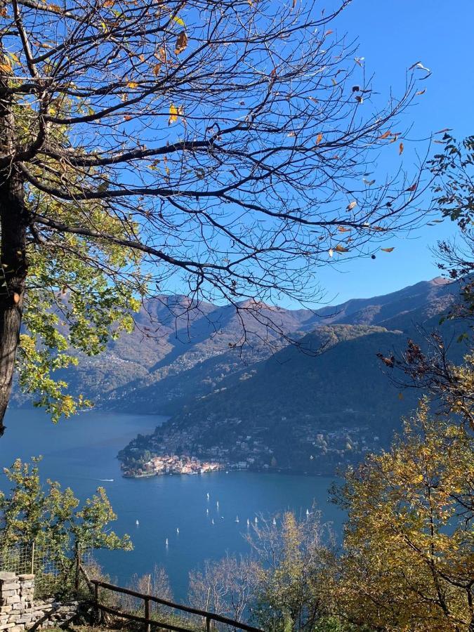 Il Riccio Appartamento Cernobbio Exterior photo